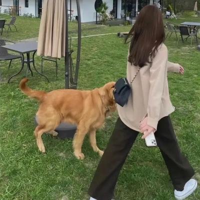 关于我们的爱情